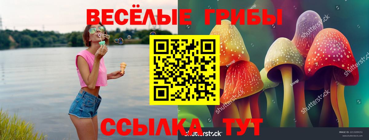 Баксан  Псилоцибиновые грибы мицелий  Вход с VPN  Галлюциногенные грибы мицелий 